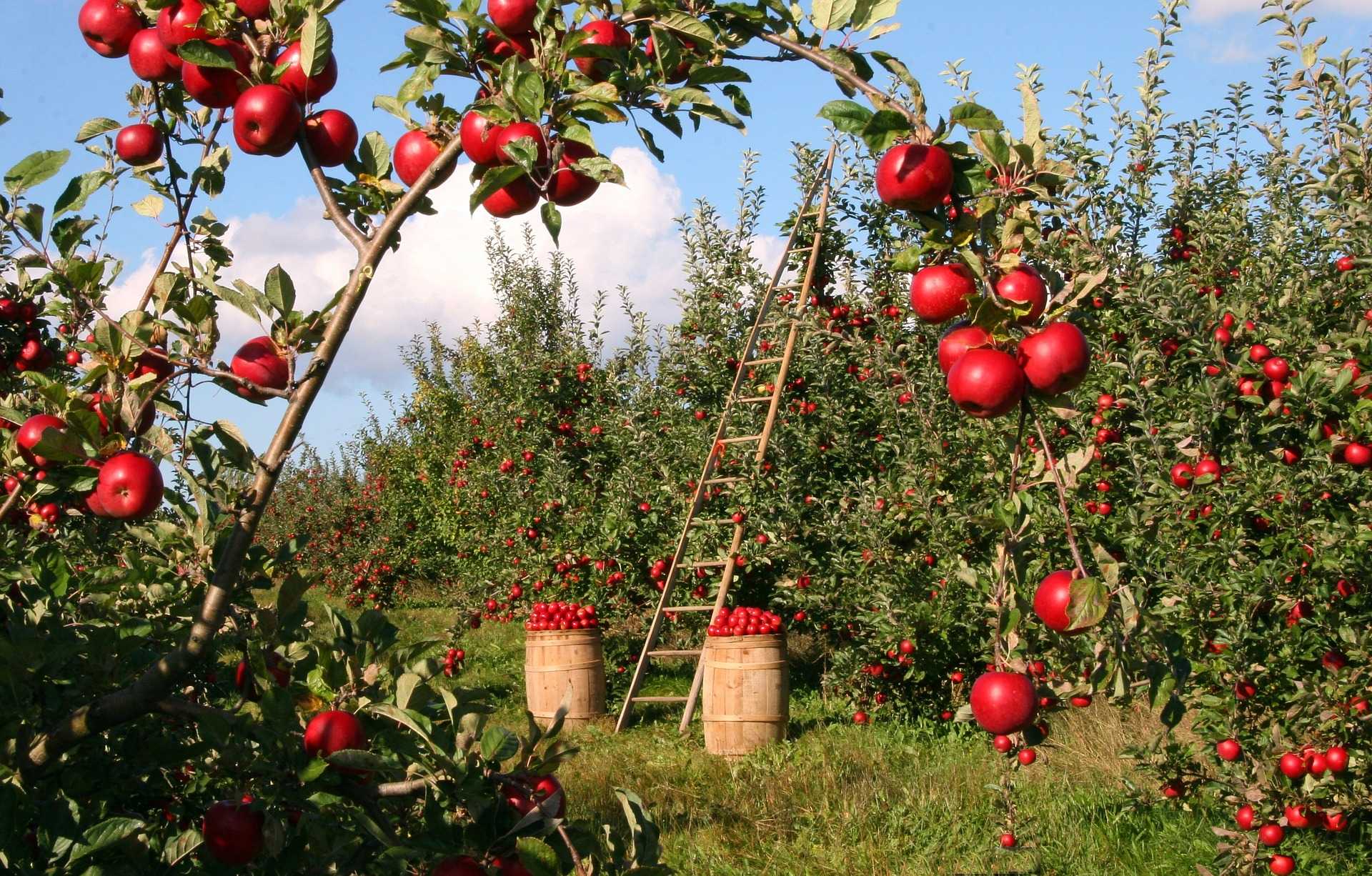 QUARTU, AL VIA IL PROGETTO 