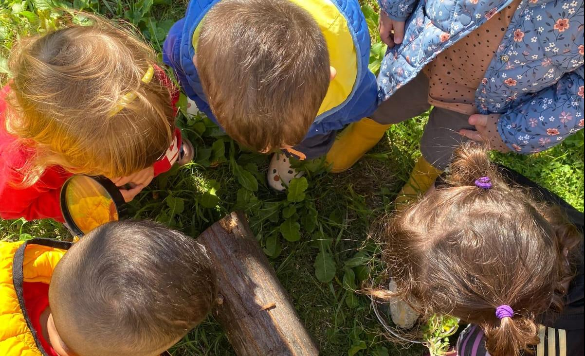 ELENCHI DEFINITIVI BONUS NIDI GRATIS PER IL PERIODO SETTEMBRE/DICEMBRE 2022