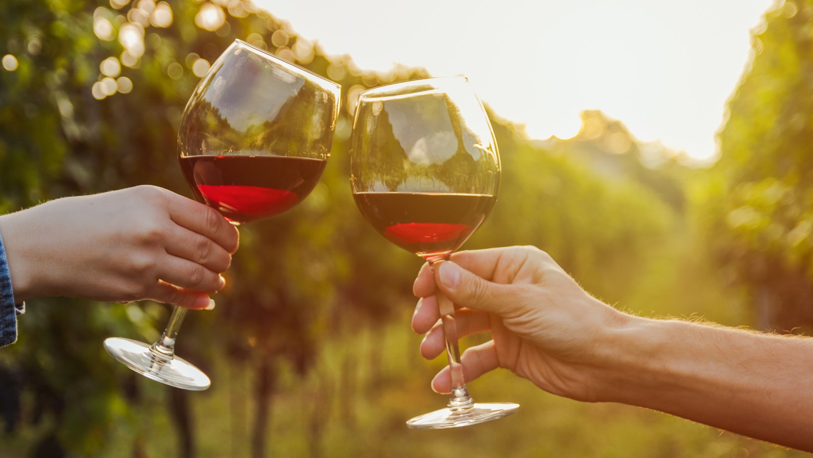 CIN CIN CANNONAU, SETTE SERATE ALL'EX CONVENTO SUI SEGRETI DEL VINO