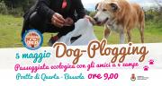 5-maggio-dog-plogging