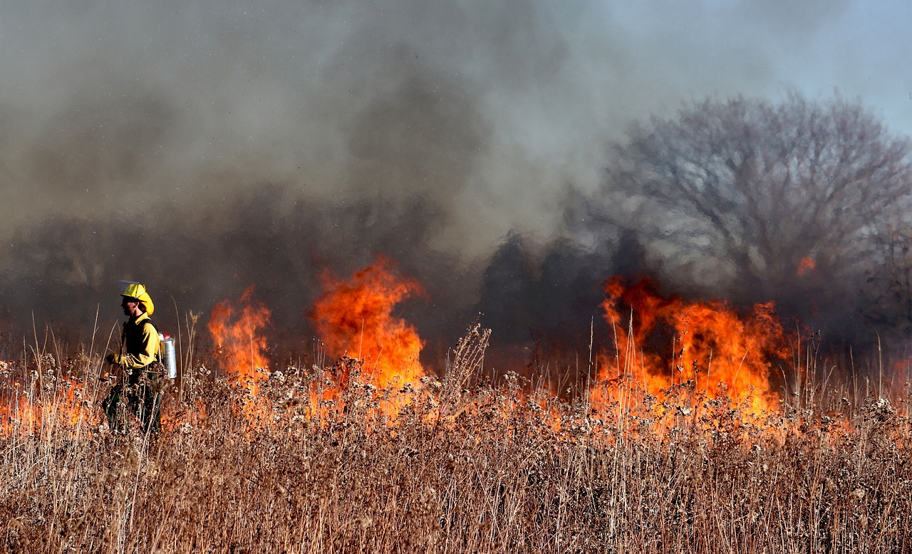 NEL TERRITORIO QUARTESE SCATTA L'ALLERTA ARANCIONE PER RISCHIO INCENDI