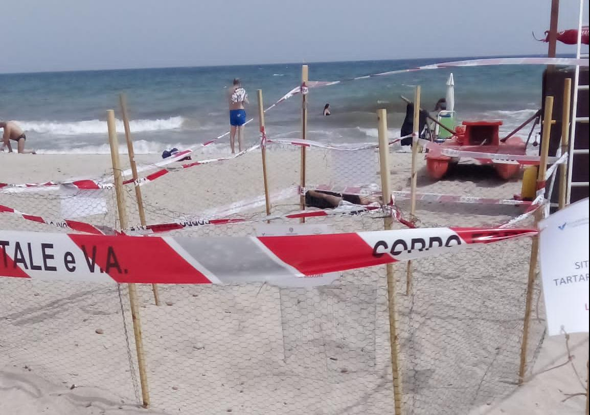 LA TARTARUGA CARETTA CARETTA SCEGLIE ANCORA IL POETTO PER DEPORRE