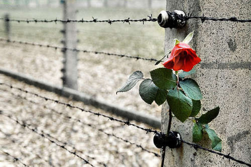 Comune di Quartu Sant'Elena - GIORNATA DELLA MEMORIA, CONSIGLIO COMUNALE E  INIZIATIVA CON GLI STUDENTI