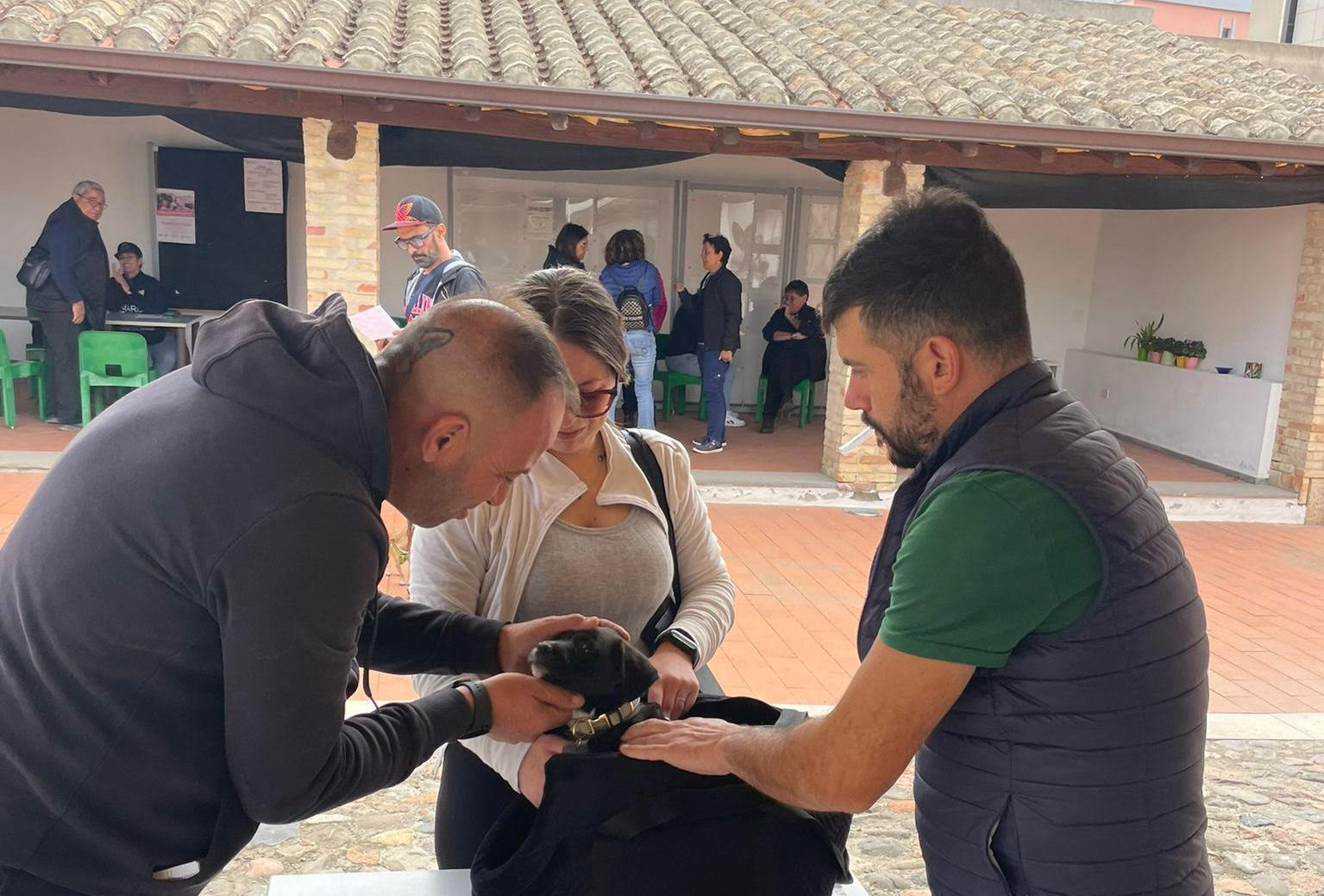 MICROCHIPPATI NEL CORTILE DELLA BIBLIOTECA CENTRALE ALTRI 40 AMICI A 4 ZAMPE