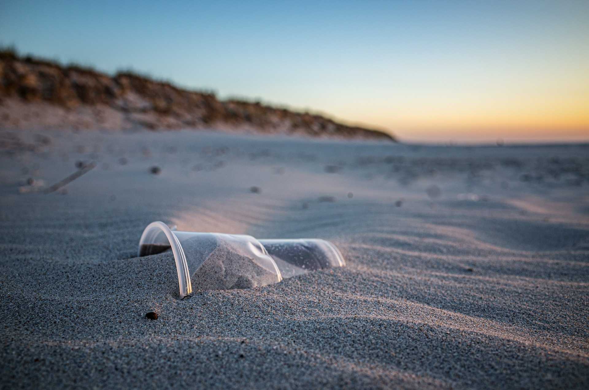 GLI STUDENTI DEL BROTZU IN CAMPO PER L'AMBIENTE NEL LUNGOMARE DI QUARTU